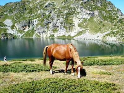 Седемте рилски езера
