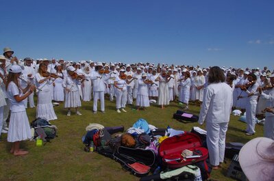 Паневритмия 19.08.2013г.